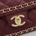 CHANEL Women Handbag bag shoulder bag Diagonal span bag-2013077