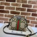 Gucci Women Handbag bag Shoulder bag Slant bag-4574993